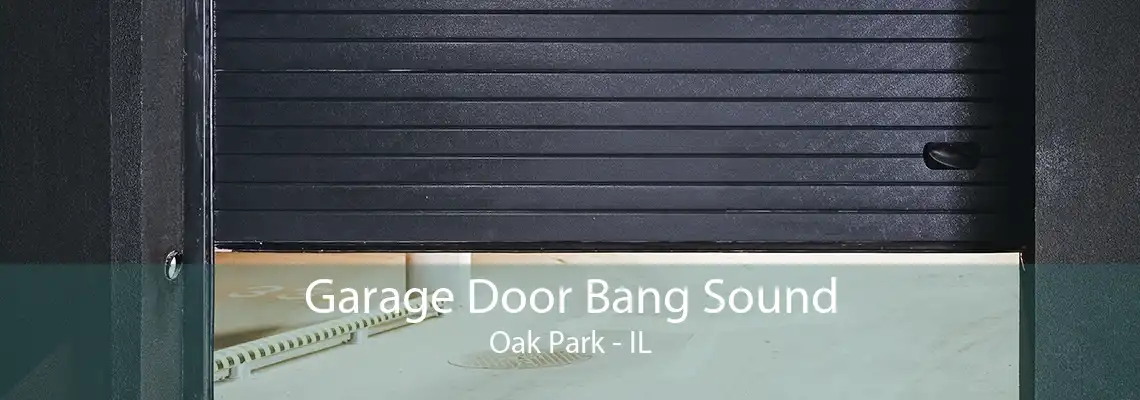 Garage Door Bang Sound Oak Park - IL