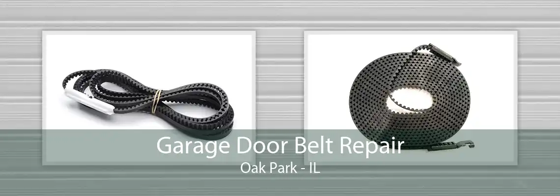 Garage Door Belt Repair Oak Park - IL