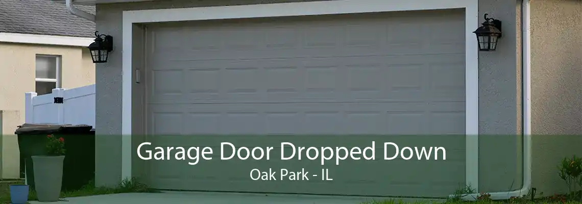 Garage Door Dropped Down Oak Park - IL