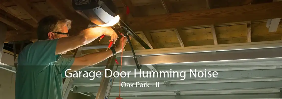 Garage Door Humming Noise Oak Park - IL