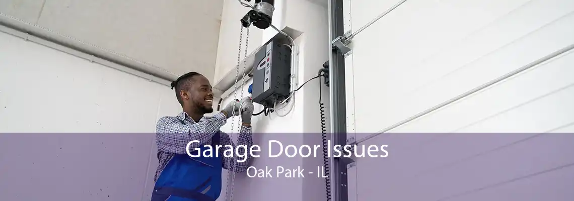 Garage Door Issues Oak Park - IL