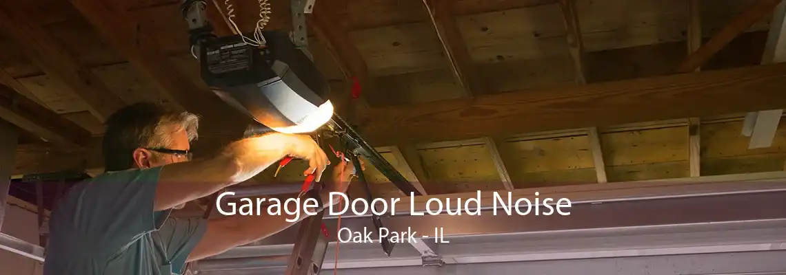 Garage Door Loud Noise Oak Park - IL