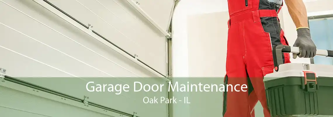 Garage Door Maintenance Oak Park - IL