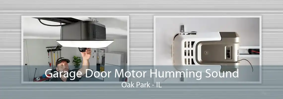 Garage Door Motor Humming Sound Oak Park - IL