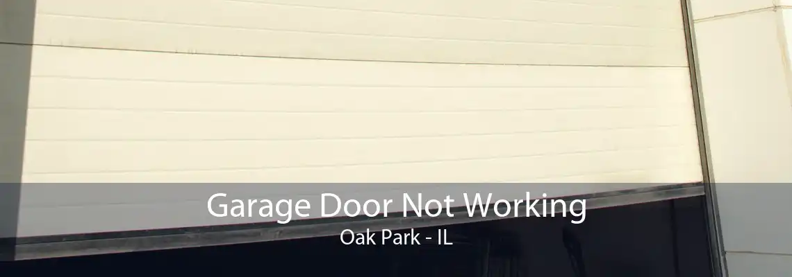 Garage Door Not Working Oak Park - IL