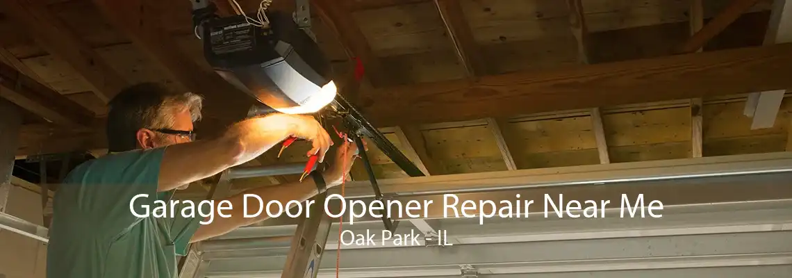 Garage Door Opener Repair Near Me Oak Park - IL