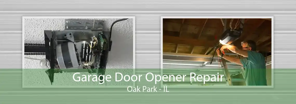 Garage Door Opener Repair Oak Park - IL