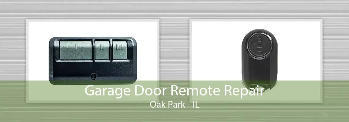 Garage Door Remote Repair Oak Park - IL