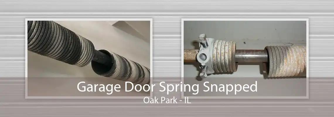 Garage Door Spring Snapped Oak Park - IL