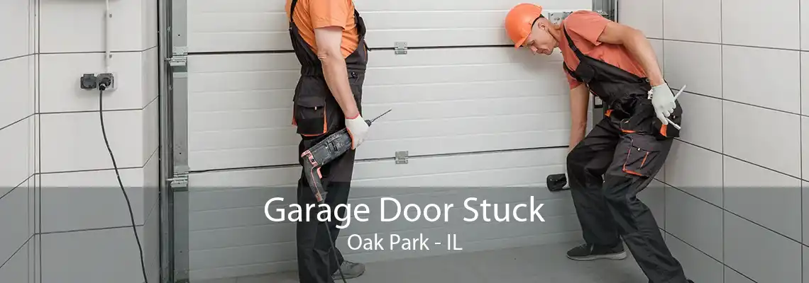 Garage Door Stuck Oak Park - IL