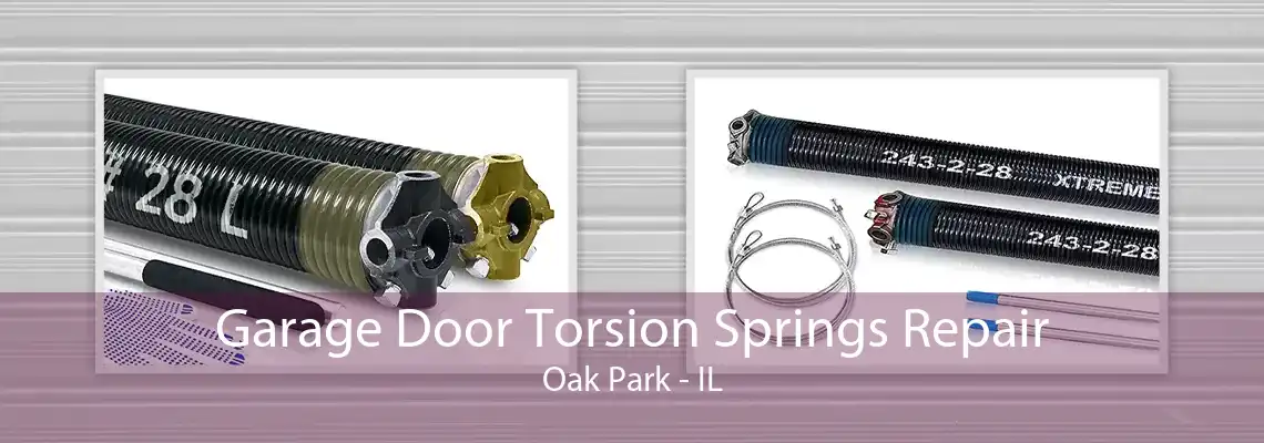 Garage Door Torsion Springs Repair Oak Park - IL