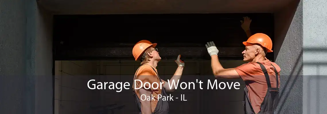 Garage Door Won't Move Oak Park - IL