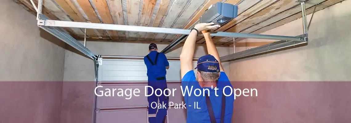 Garage Door Won't Open Oak Park - IL