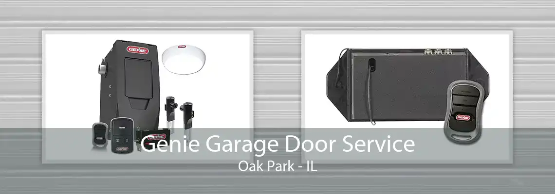 Genie Garage Door Service Oak Park - IL