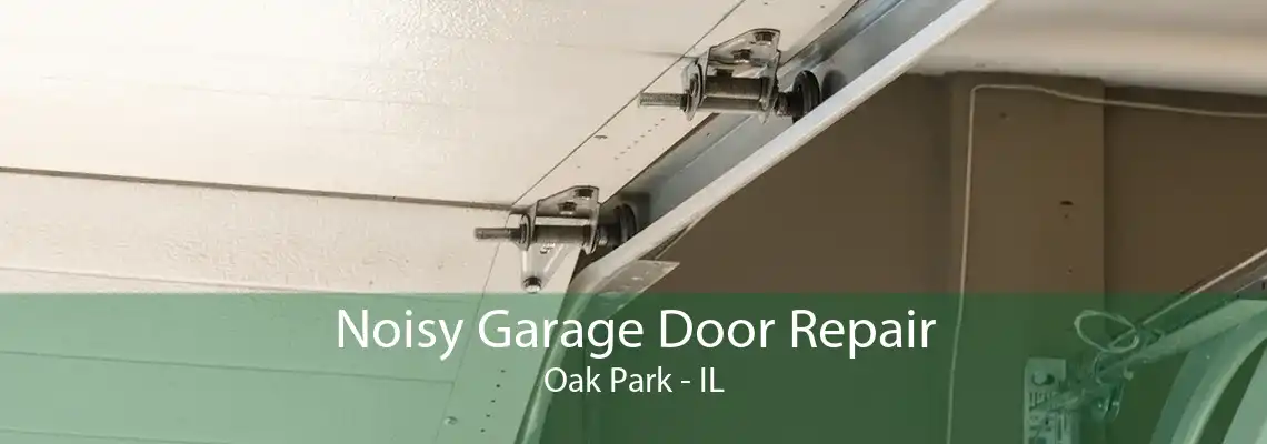 Noisy Garage Door Repair Oak Park - IL