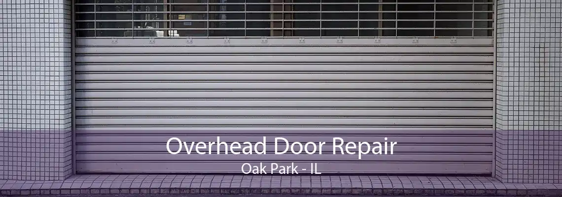 Overhead Door Repair Oak Park - IL