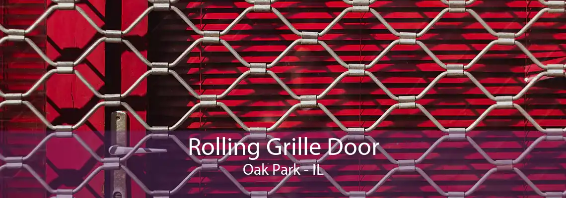 Rolling Grille Door Oak Park - IL